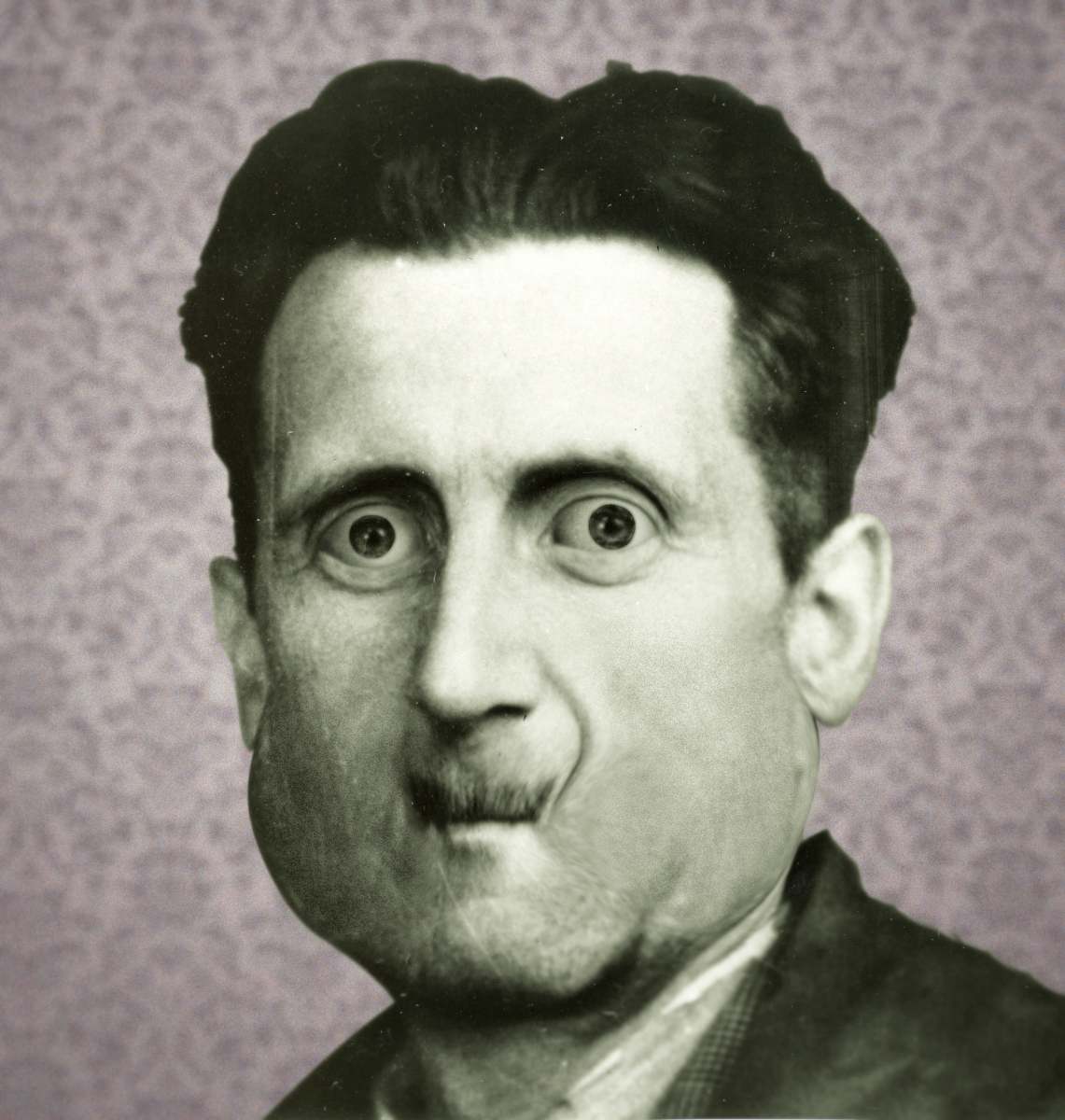 George Orwell sur le point de vomir en découvrant 1984 en écriture inclusive