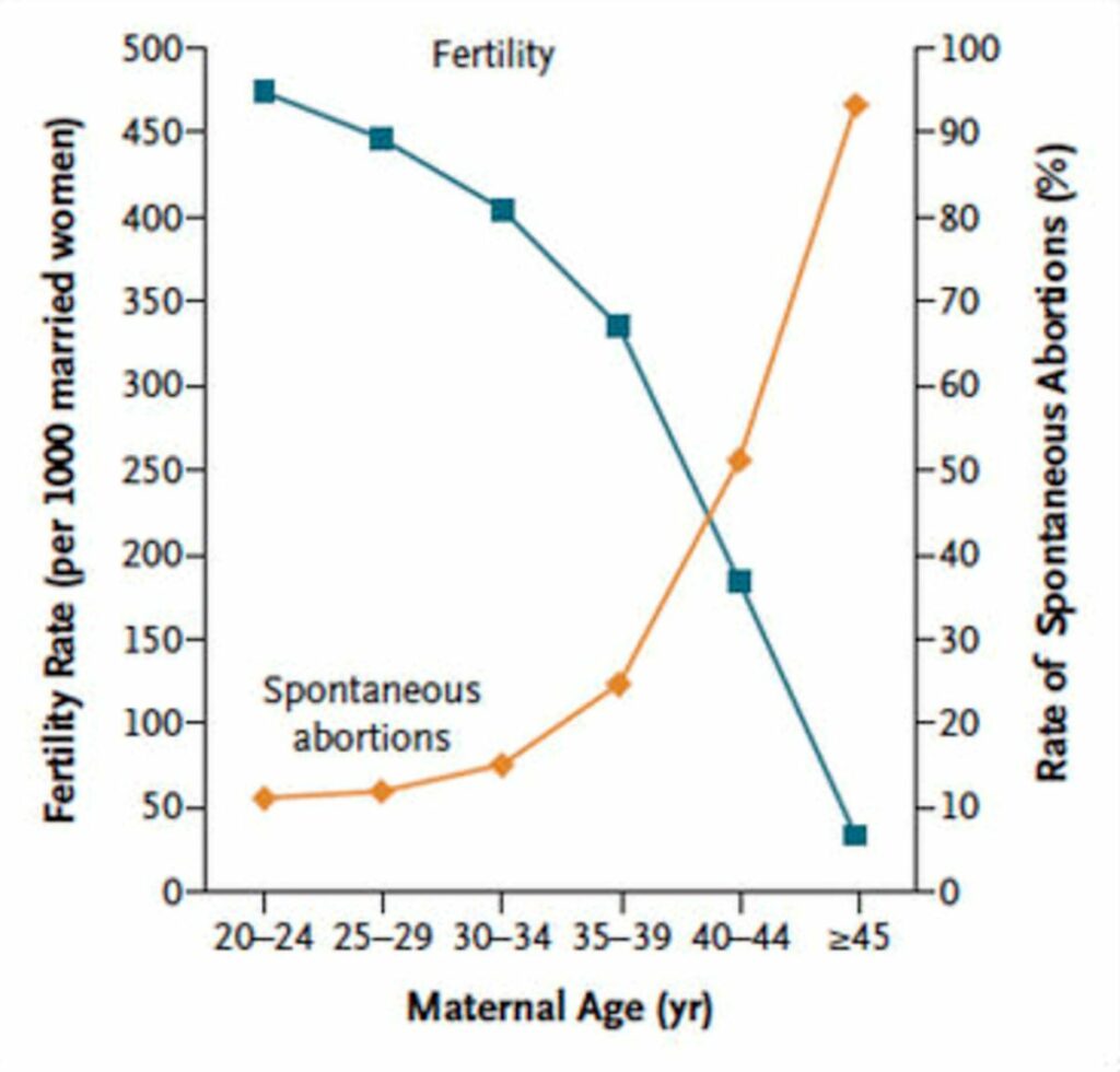 Baisse de la fertilité et hausse du taux de fausses couches en fonction de l'âge maternel