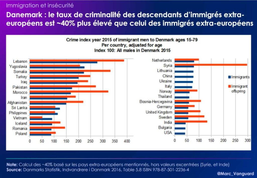 Danemark : le taux de criminalité des descendants d'immigrés extra-européens et ~40% plus élevé que celui des immigrés extra-européens