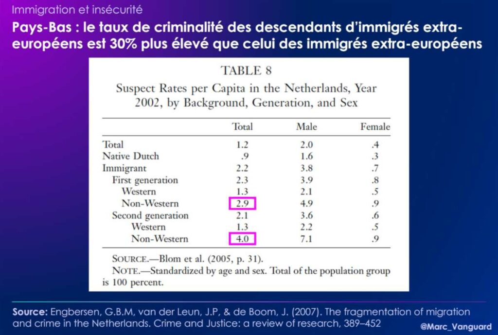 Pays-bas : le taux de criminalité des descendants d'immigrés extra-européens est 30% plus élevé que celui des immigrés extra-européens