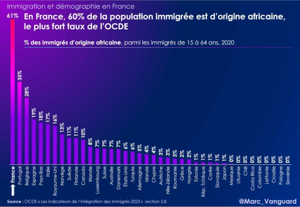 En France, 60% de la population immigrée est d'origine africaine, le plus fort taux de l'OCDE