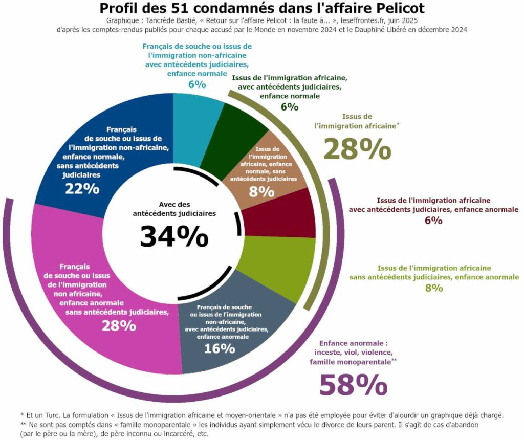 Camembert des profils des 51 condamnés dans l'affaire Pelicot, dite « des viols de Mazan » : enfance, origine, antécédents judiciaires. Camembert des profils des 51 condamnés dans l'affaire Pelicot, dite « des viols de Mazan » : enfance, origine, antécédents judiciaires.