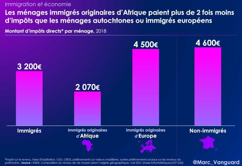 Les ménages immigrés africains paient plus de deux fois moins d'impôts que les ménages autochtones ou immigrés euroopéens Les ménages immigrés africains paient plus de deux fois moins d'impôts que les ménages autochtones ou immigrés euroopéens