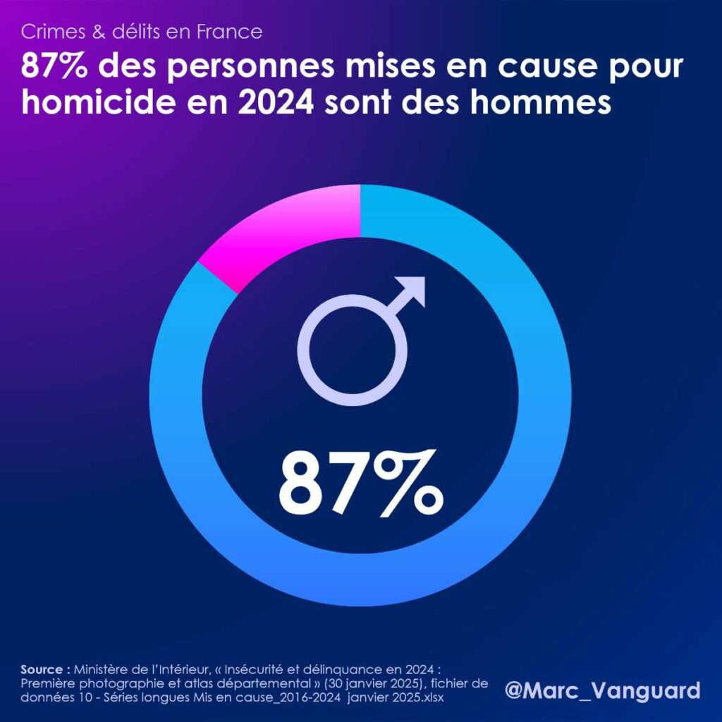 La majorité des mis en cause pour homicide sont des hommes