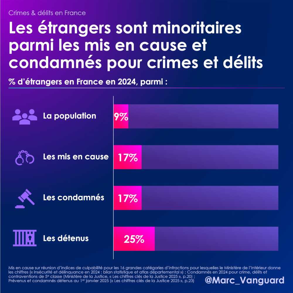 Les étrangers sont minoritaires parmi les mis en cause pour crimes et délits