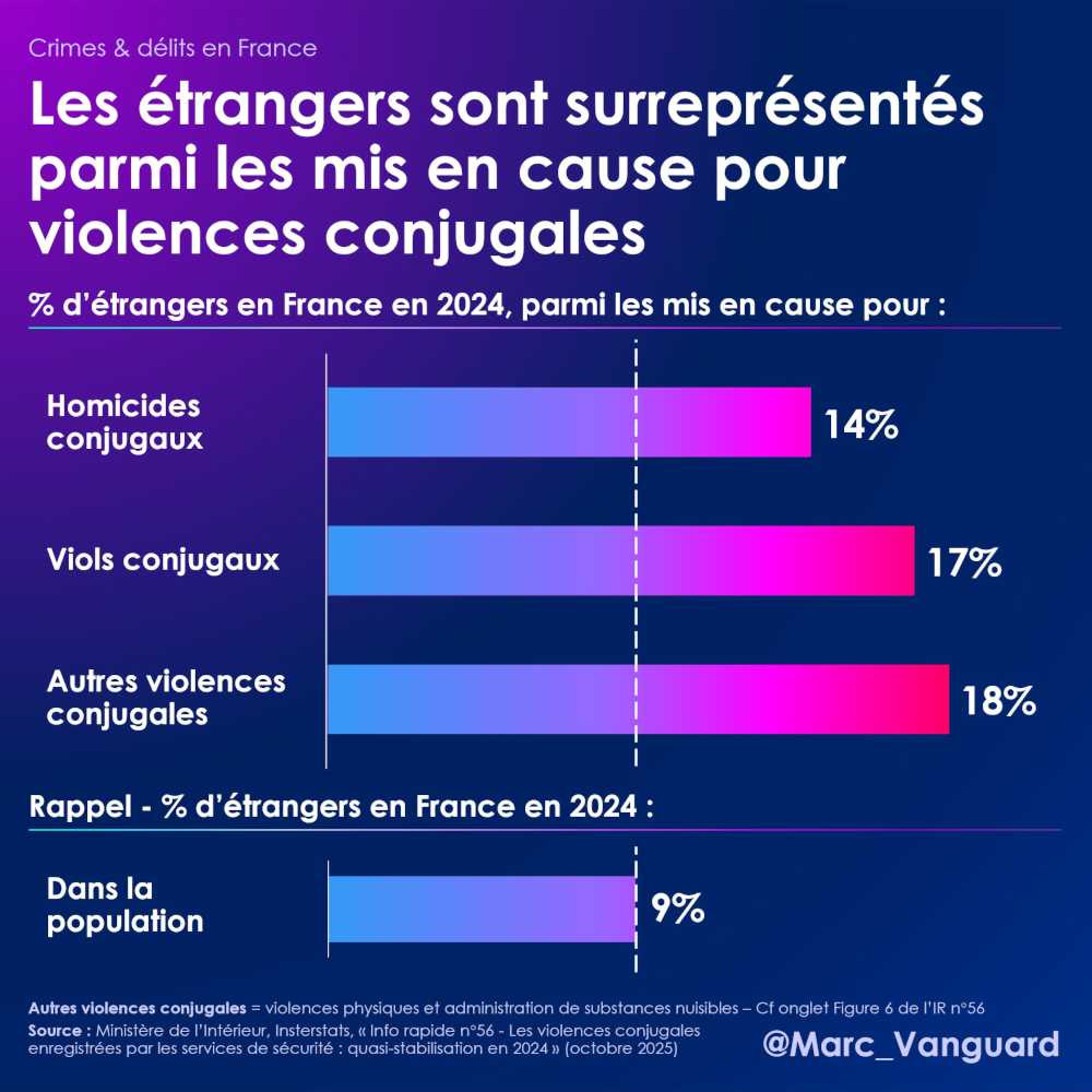 Les étrangers sont surreprésentés parmi les mis en cause pour violences conjugales